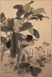 Blue-tailed birds among the blossoms from Bunrei Kacho Gafu, published 1885