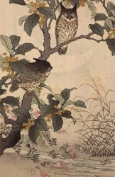 Two Owls in a Tree from Bunrei Kacho Gafu by Kono Bairei, pub. 1885