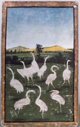 Herons in a Field, One of a Set of Playing Cards Depicting Scenes of Courtly Hawking, Upper Rhein Area, c.1440-45