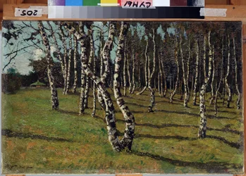 In the Countryside, Birch Forest