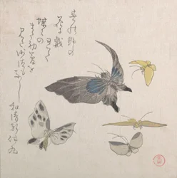 Butterflies, 19th century