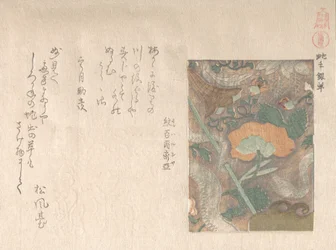 Designs of Imported Leathers, 19th century