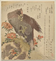 Eagle with an upraised claw on a rock by an azalea bush