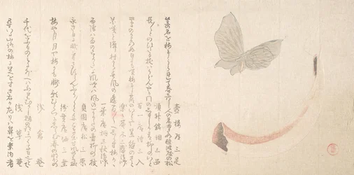 Flower-Vase of Horn and a Butterfly
