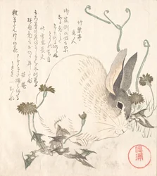Hare and Dandelion