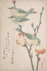 Japanese White-eyes on a Branch of Peach Tree, from the Series An Array of Birds (Tori awase), from Spring Rain Surimono Album (Harusame surimono-jō, vol. 3)
