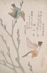 Kingfishers and Pussy-willow, 19th century.