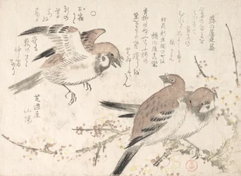 Sparrows and Plum Blossoms, 19th century