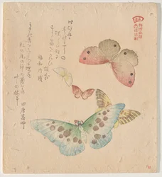 The Painting Manual of Flock of Butterflies (Guncho Gafu)