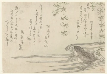Frog under a Willow Tree