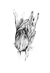 Adorned Botanical Hand