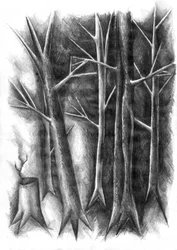 Dark Forest Renewal