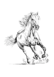 Dynamic Galloping Horse