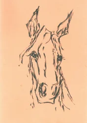 Elegant Horse Head Sketch