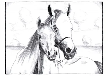 Gentle Horse Bond