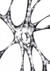 Organic Abstract Structure