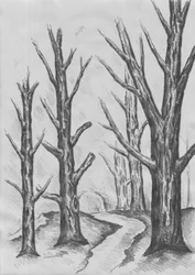 Path Through Stark Trees