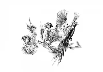 Pointers and Game Bird Flight