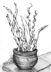 Potted Plant Still Life