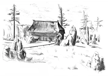 Rustic Forest Cabin