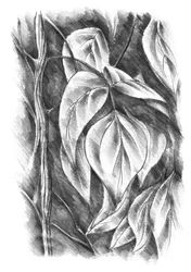 Shaded Botanical Leaves