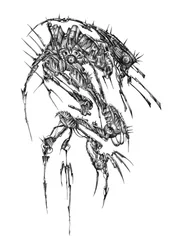 Spiked Mechanical Creature