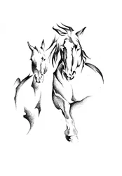 Wild Horse Duo