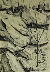 Young Tree Among Rocks