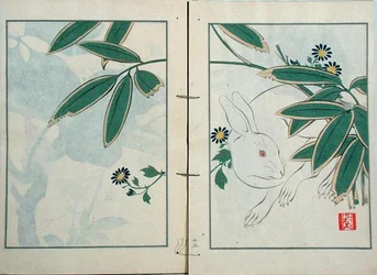 The Rabbit, from a collection of the artist