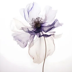 Minimalist Composition 1