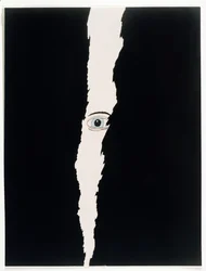 Under Surveillance, 2006