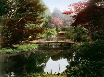 Japanese ornamental garden in blossom