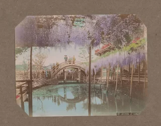 People on a Bridge, with Blooming Wisteria in the Foreground, in Kameido, Tokyo, Japan