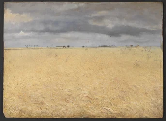 A Rye Field near Ring Village