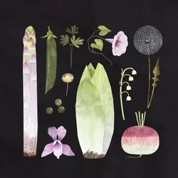 Veggies and Blooms