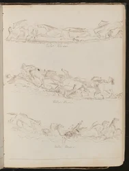 Three Studies of Horses Galloping Freely