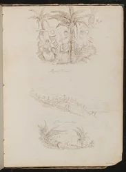 Three studies of men and women