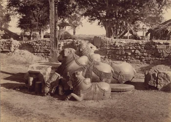 Bulls or Nadias with Ornamental Carvings Side View, Warangal, Hyderabad, Deccan