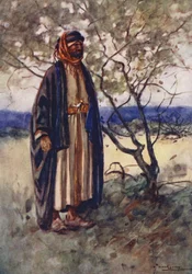 People of Egypt: Bedouin Arab, Bedawi