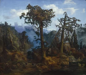 Old Pines
