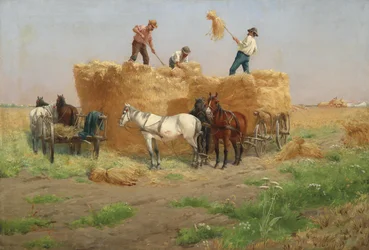 Hay Harvest