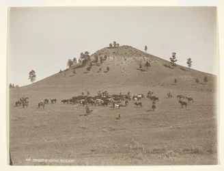 Working a Little Bunch in the Hills, c. 1900