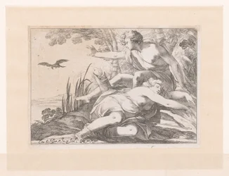 Apollo and Coronis