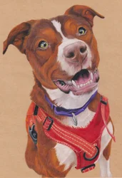 Penny