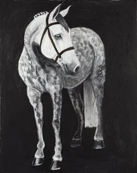 White Horse 2, c.2024
