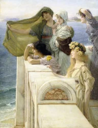 At Aphrodite