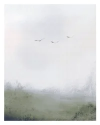Birds Flying Over a Field