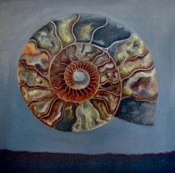 Ammonite, 2020
