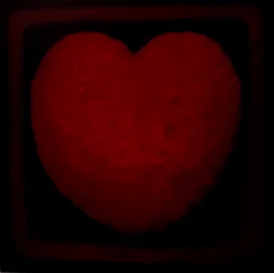 Big Love