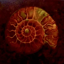 Red/Gold Ammonite, 2020